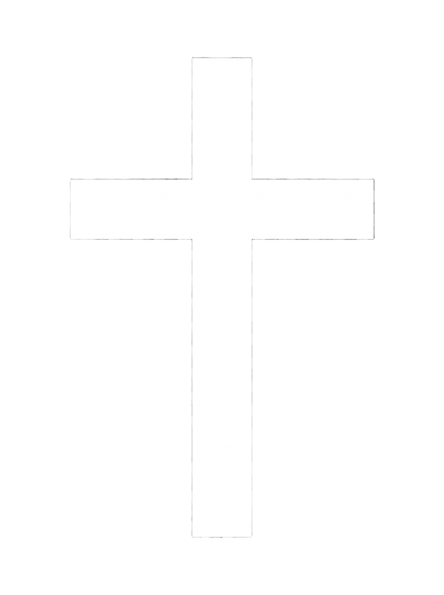 Mercy Health Center cross icon